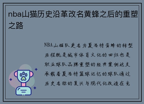 nba山猫历史沿革改名黄蜂之后的重塑之路